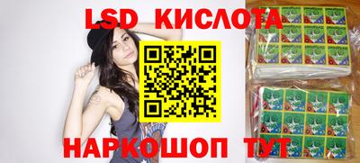 крисы Партизанск