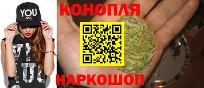 крисы Партизанск
